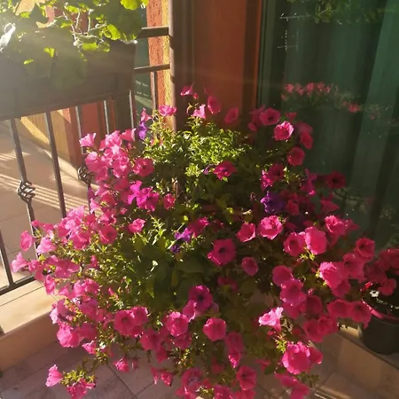 Yana بيت ضيافة 3*