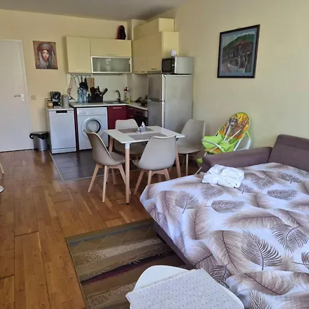 Yana Guest house